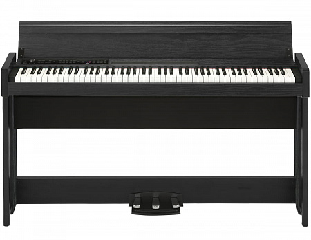 ЦИФРОВОЕ ПИАНИНО KORG C1 AIR-WBK | Продукция KORG